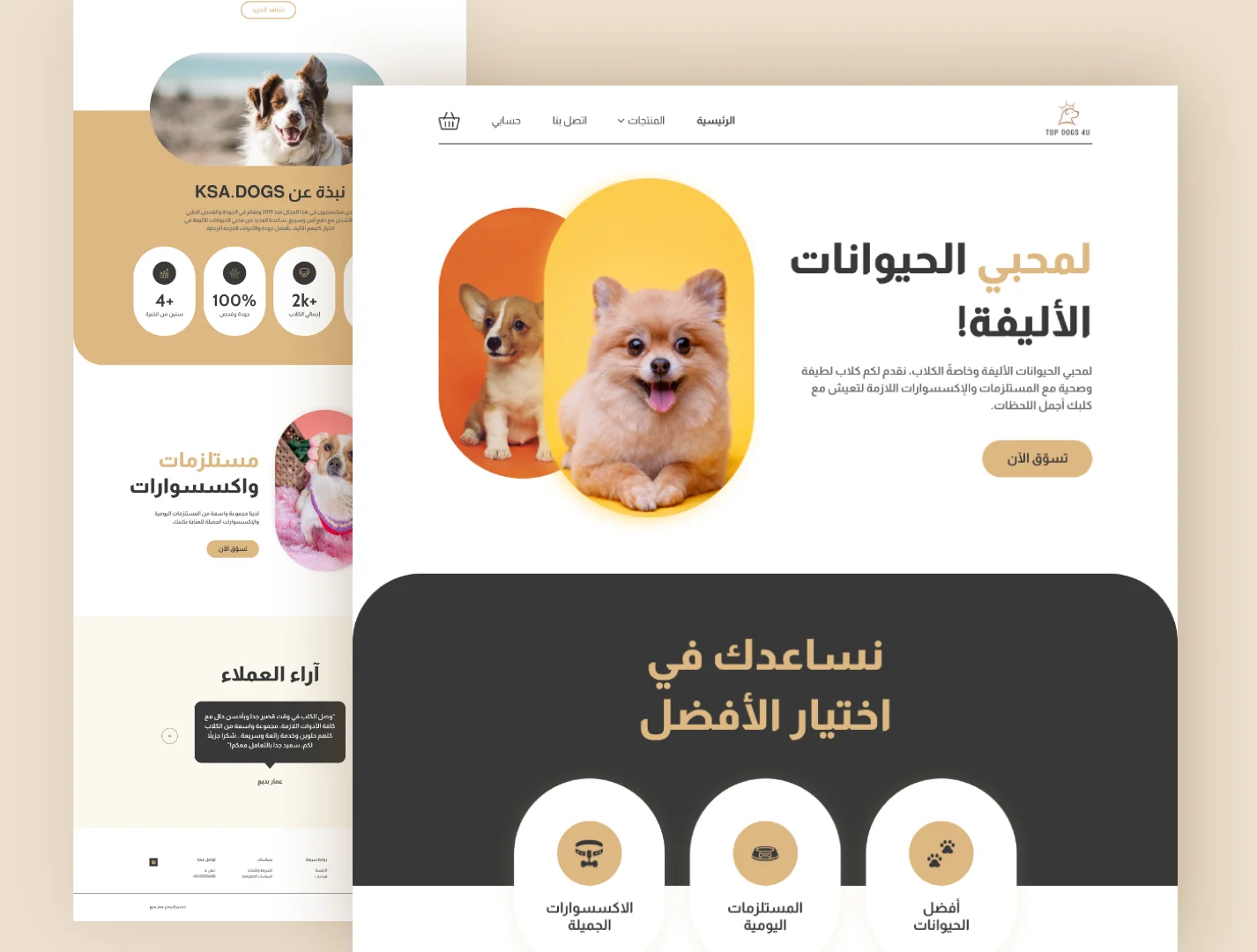 متجر للحيوانات الأليفة — من أعمال رؤية