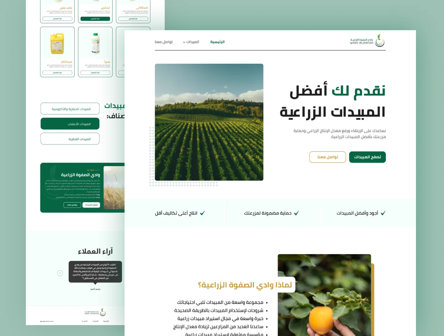 وادي الصفوة الزراعية — من أعمال رؤية